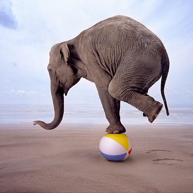 SEB1 Self Emotional Balancing (SEB)© | la méthode