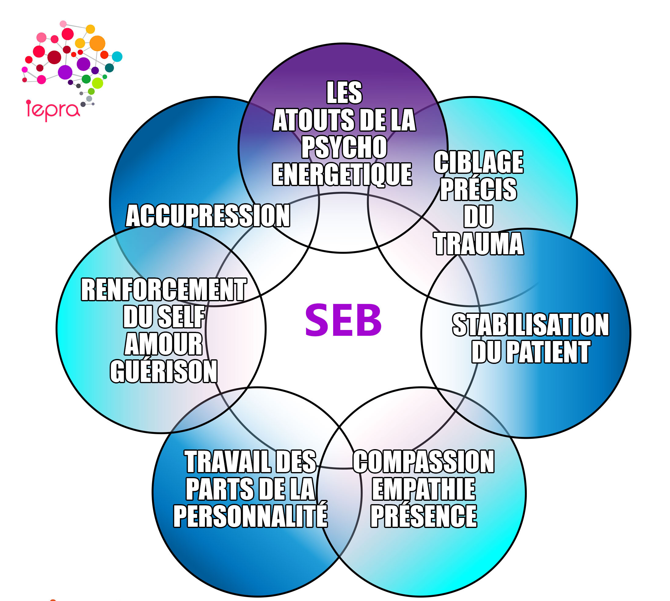 Self Emotional Balancing (SEB)© | Thérapie & Formations trauma